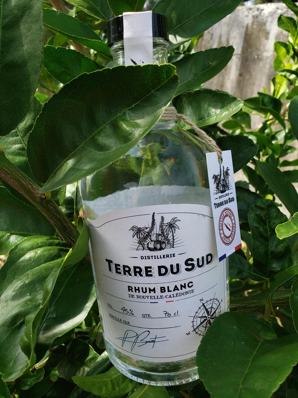 Nouvelle-Calédonie, Terre de Cannes… Terre de Rhum ?