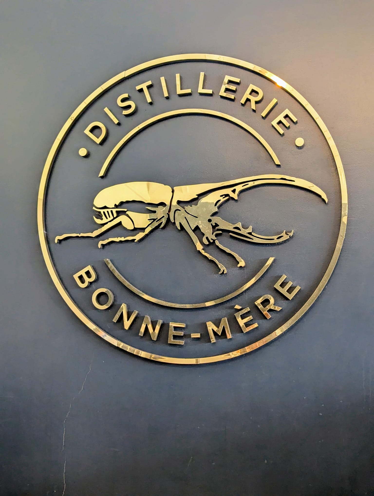 DBM : le réveil d&rsquo;un géant